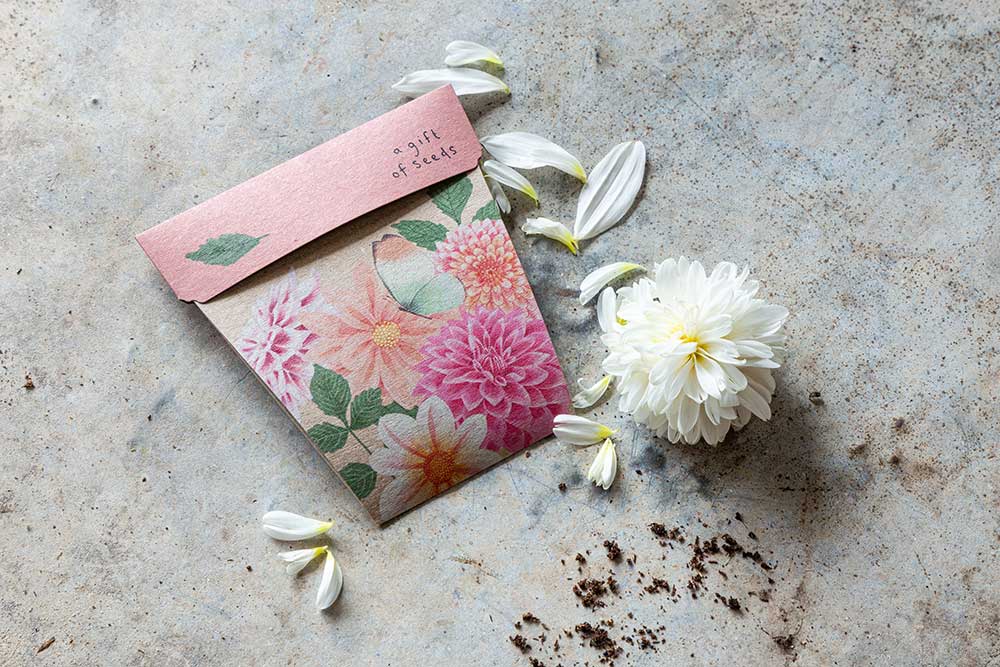 Gift of Seeds