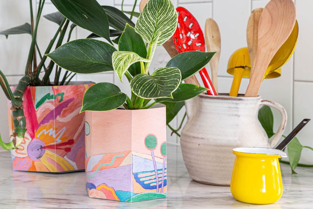 Pop Up Pot ' Yonder' Small