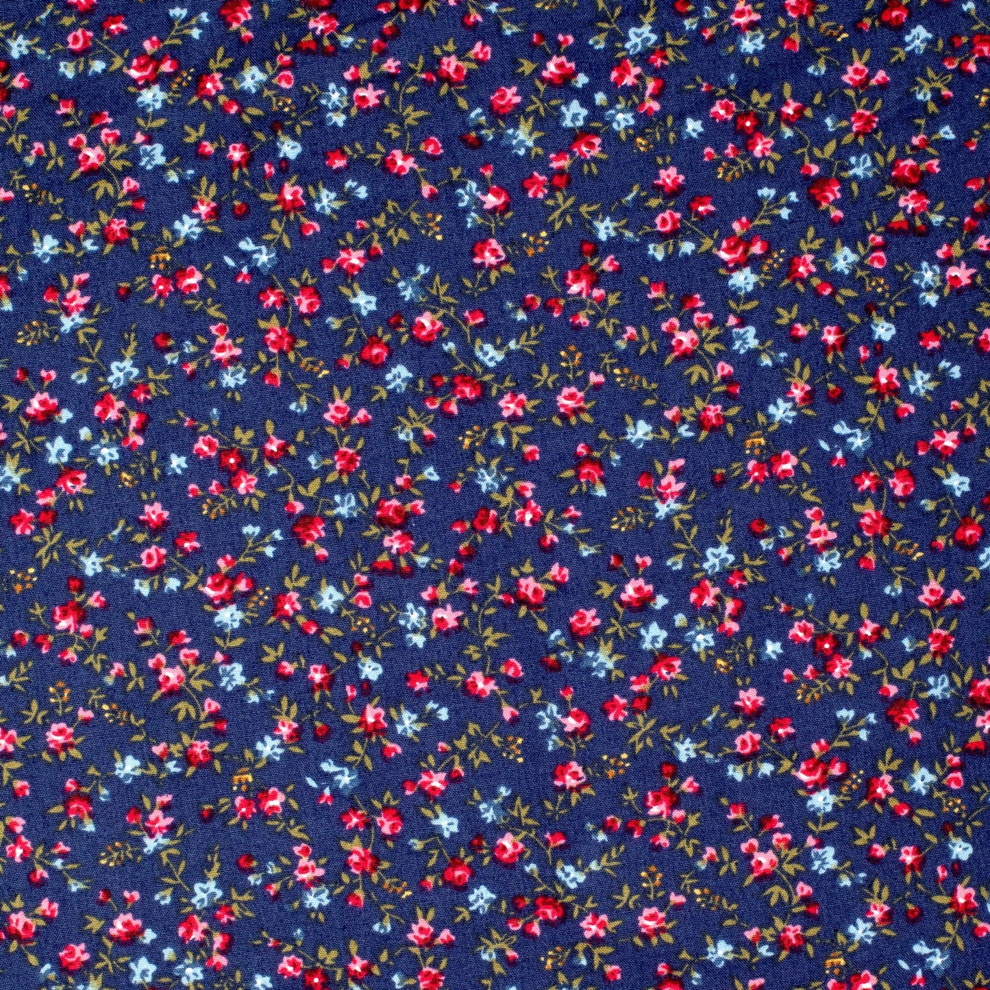 Just Country Women's Georgie Half Button Workshirt - Navy Roses