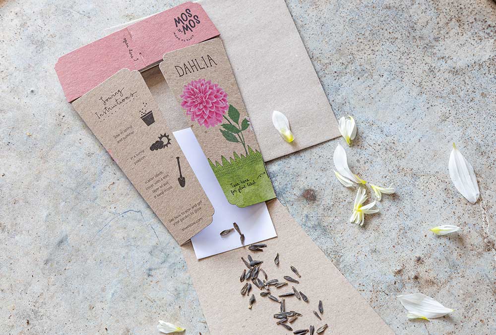 Gift of Seeds