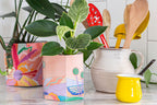 Pop Up Pot ' Yonder' Small