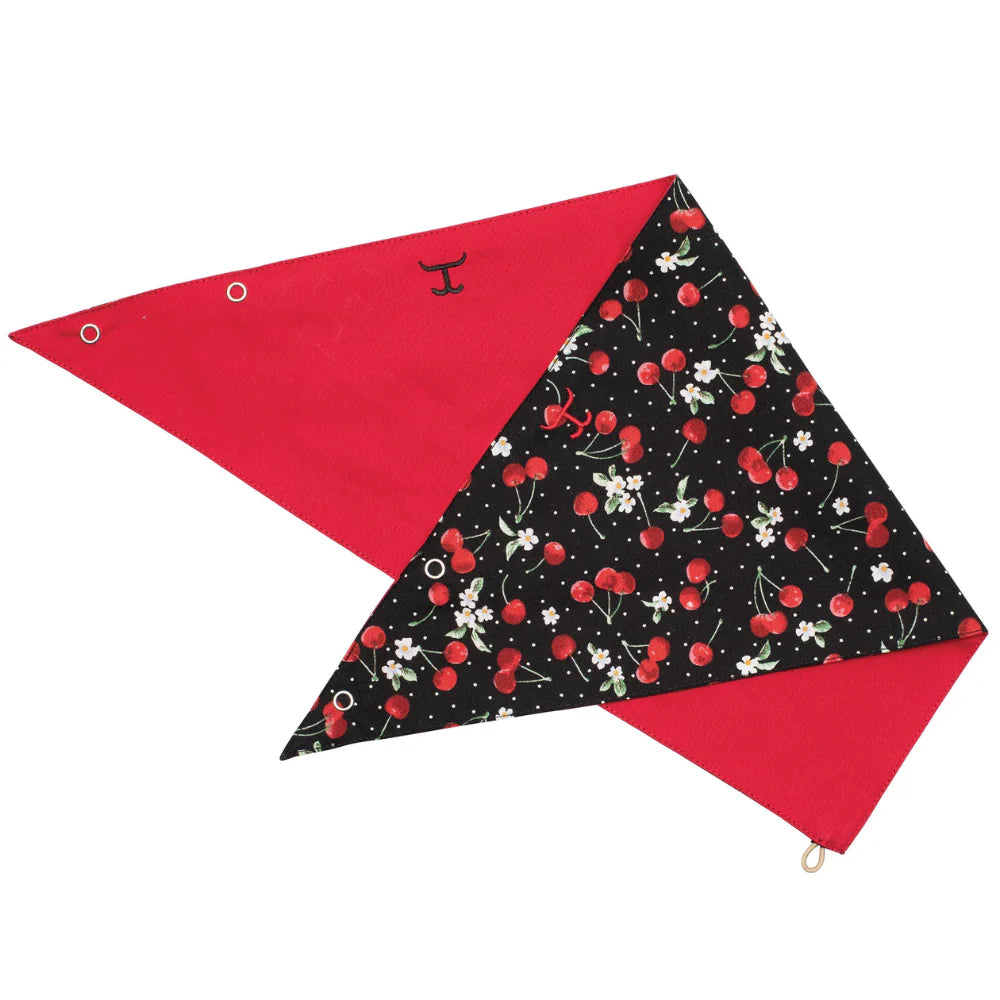 Carlee Double Sided Scarf