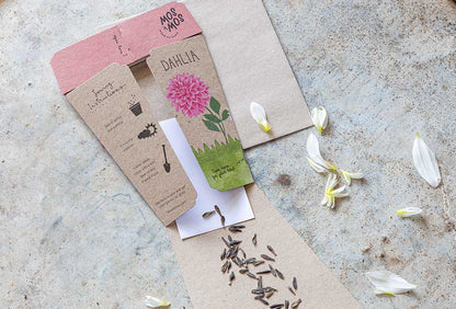 Gift of Seeds
